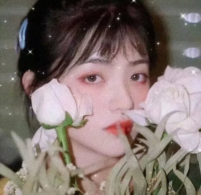 与鸭共舞
